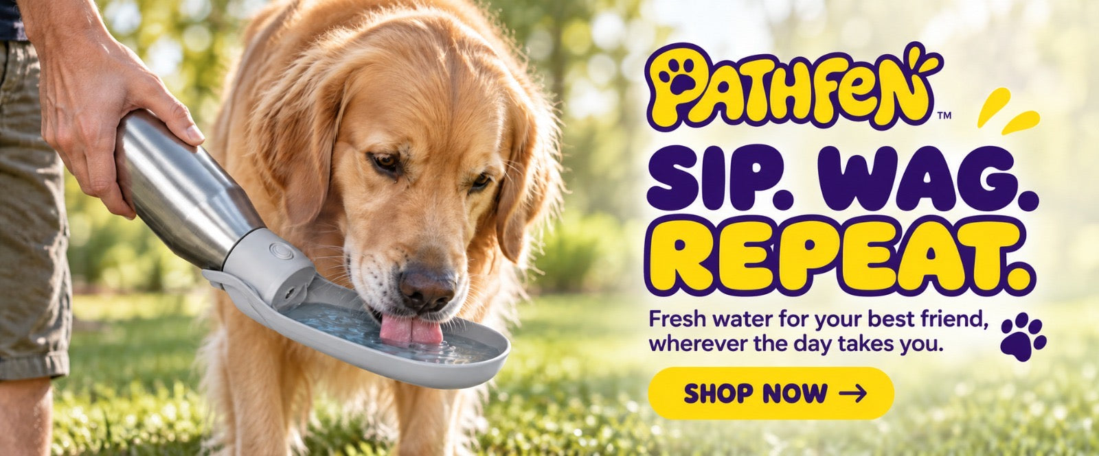 Golden retriever drinking fresh water from the open PATHFEN bottle trough
